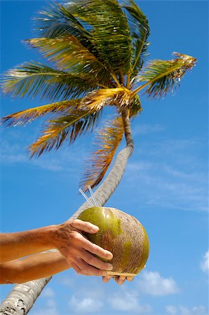 A person is holding a coconut drink. In the background ther is a palm. Dominican Republic, Punta Cana. Stockbilder - Microstock & Abonnement, Bildnummer: 400-04896349