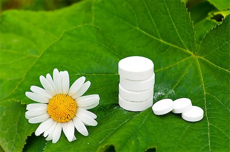 simsearch:400-08697202,k - Pills with chamomile flower lying on leaf in garden Stock Photo - Budget Royalty-Free & Subscription, Code: 400-04896931