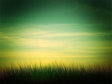 Silhouette of a grass against  sunset Stock Photo - Budget Royalty-Free & Subscription, Code: 400-04897125