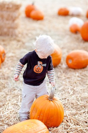 cute caucasian toddler on the pumpkin patch Stock Photo - Budget Royalty-Free & Subscription, Code: 400-04898017
