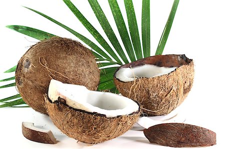 silencefoto (artist) - two coconuts on a white background Stockbilder - Microstock & Abonnement, Bildnummer: 400-04898341