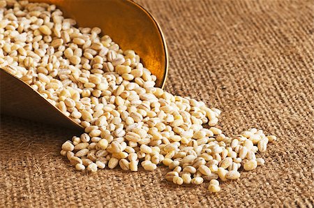 pot barley - barley pearls Stock Photo - Budget Royalty-Free & Subscription, Code: 400-04898451