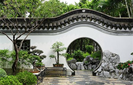 plant grow on garden wall - chinese garden Stock Photo - Budget Royalty-Free & Subscription, Code: 400-04899255