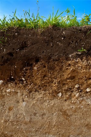 stramyk (artist) - A cut of soil with different layers visible Stock Photo - Budget Royalty-Free & Subscription, Code: 400-04899647