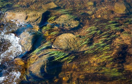 Rocks under water with a flow of the river Stock Photo - Budget Royalty-Free & Subscription, Code: 400-04899667