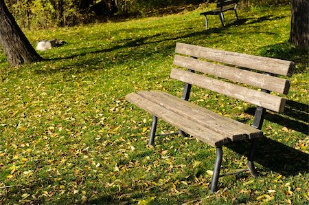 An empty bench in a park during a sunny Autumn day Foto de stock - Super Valor sin royalties y Suscripción, Código: 400-04899898