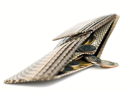 Snakeskin wallet full of coins Stock Photo - Budget Royalty-Free & Subscription, Code: 400-04890713