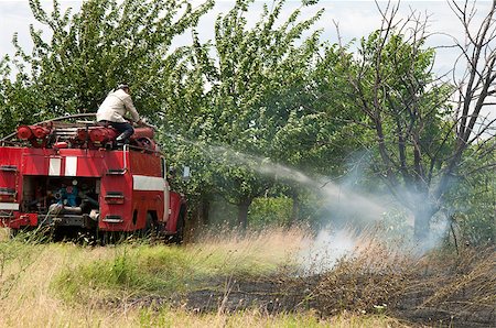 spraying water hose - Firefighters extinguish a fire. Trees and grass Stock Photo - Budget Royalty-Free & Subscription, Code: 400-04891890