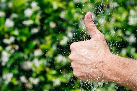 Hands under falling water Stock Photo - Budget Royalty-Free & Subscription, Code: 400-04891935