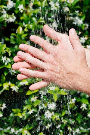 Hands under falling water Stock Photo - Budget Royalty-Free & Subscription, Code: 400-04891933