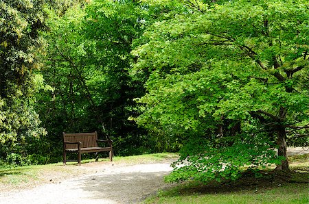 simsearch:400-05276155,k - A solitary wooden bench surrounded by trees and a nice walkway in a quiet park Photographie de stock - Aubaine LD & Abonnement, Code: 400-04892658