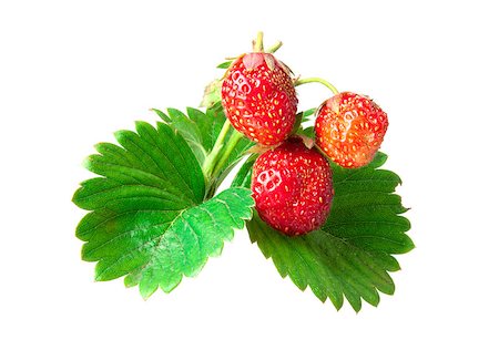 simsearch:400-06076486,k - three strawberries isolated on white Foto de stock - Royalty-Free Super Valor e Assinatura, Número: 400-04892984