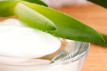 skin treatment medical - aloe vera - leaves and cream isolated on white background Stock Photo - Budget Royalty-Free & Subscription, Code: 400-04893473