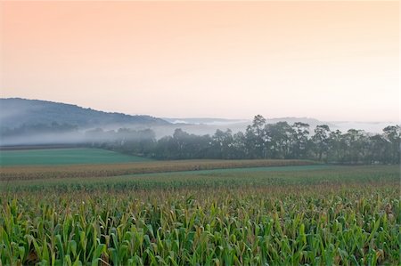 simsearch:400-08290194,k - A foggy morning in rural Juniata County,Pennsylvania,USA. Photographie de stock - Aubaine LD & Abonnement, Code: 400-04904291