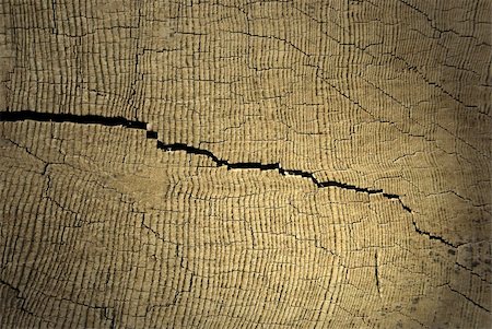 Close up of a crack on piece of wood Stock Photo - Budget Royalty-Free & Subscription, Code: 400-04906263