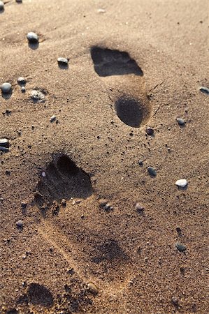 simsearch:400-04976014,k - Footprints in sand. Perissa beach, Santorini, Greece Stock Photo - Budget Royalty-Free & Subscription, Code: 400-04906994