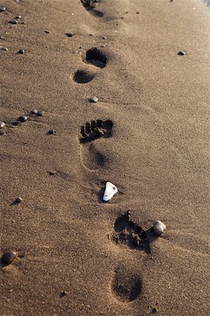 simsearch:400-04976014,k - Footprints in sand. Perissa beach, Santorini, Greece Stock Photo - Budget Royalty-Free & Subscription, Code: 400-04906995