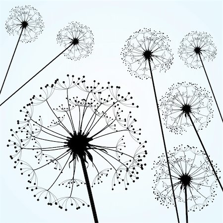 dandelions pale blue Stockbilder - Microstock & Abonnement, Bildnummer: 400-04907238