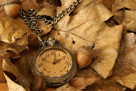 pocket watch - A pocket watch on some dead oak leaves and acorns for the changing of the autumn season. Stock Photo - Budget Royalty-Free & Subscription, Code: 400-04908002
