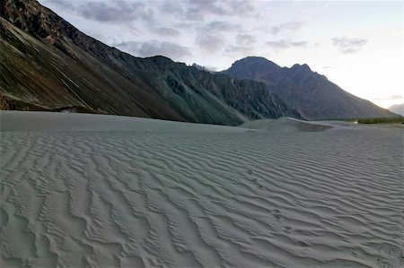 desert hikers - Sand Dunes in Nubra Valley at evening, Ladakh, Jammu and Kashmir, India Stock Photo - Budget Royalty-Free & Subscription, Code: 400-04908172