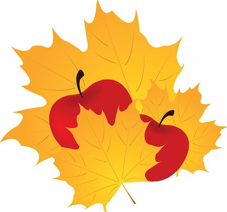 simsearch:400-04228440,k - autumn leaf and apple  isolated on white background Foto de stock - Super Valor sin royalties y Suscripción, Código: 400-04900086