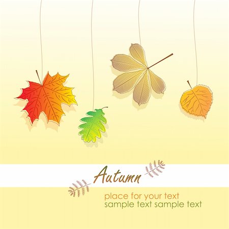 fall aspen leaves - Leaves of Autumn. Vector illustration. Stock Photo - Budget Royalty-Free & Subscription, Code: 400-04900267