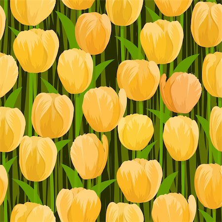 simsearch:400-08555878,k - vector yellow tulip flowers field seamless background Foto de stock - Royalty-Free Super Valor e Assinatura, Número: 400-04900402
