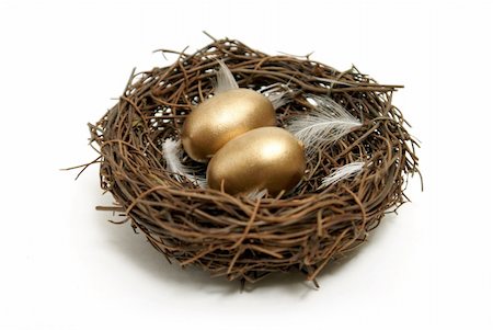 simsearch:700-00589062,k - A nest with golden eggs for many financial concepts. Foto de stock - Super Valor sin royalties y Suscripción, Código: 400-04900490