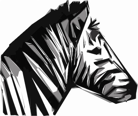 zebra head isolated on the white background Stock Photo - Budget Royalty-Free & Subscription, Code: 400-04900933