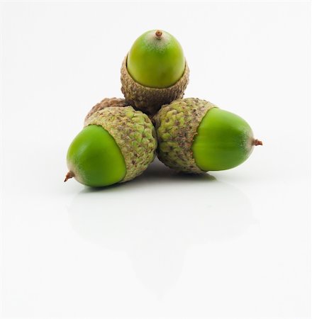 Three Green Acorns isolated on white background Foto de stock - Super Valor sin royalties y Suscripción, Código: 400-04901087