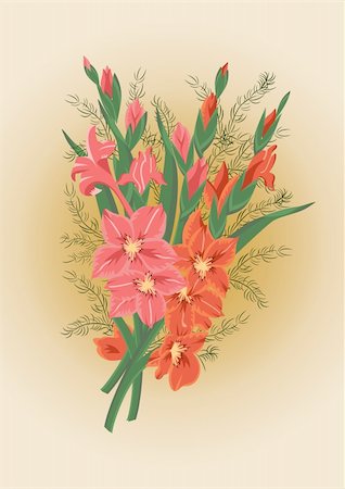 simsearch:400-06093261,k - Illustration of bouquet of pink and red gladiolas Fotografie stock - Microstock e Abbonamento, Codice: 400-04901570