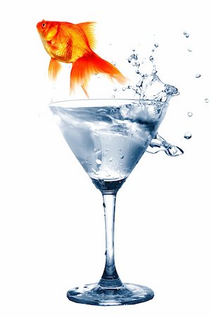 goldfish in drink glass showing jail prison free or freedom concept Stock Photo - Budget Royalty-Free & Subscription, Code: 400-04902505