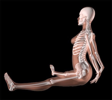 simsearch:400-06568234,k - 3D render of a female medical skeleton in a yoga position Stock Photo - Budget Royalty-Free & Subscription, Code: 400-04902679