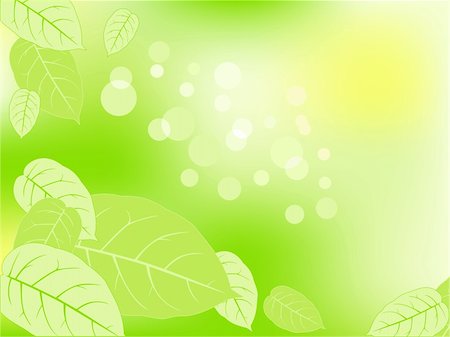 green vector abstraction background with leaves and sunshine Foto de stock - Super Valor sin royalties y Suscripción, Código: 400-04903440