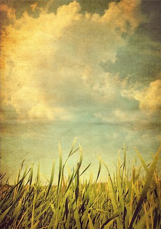 dirty environment images - Retro photo meadows with grass in the summer day Stock Photo - Budget Royalty-Free & Subscription, Code: 400-04903981