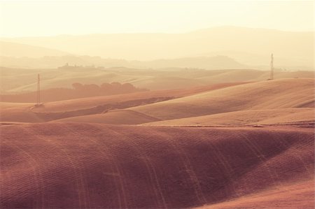 simsearch:862-08090466,k - Tuscany Hills at Sunrise Fotografie stock - Microstock e Abbonamento, Codice: 400-04914005