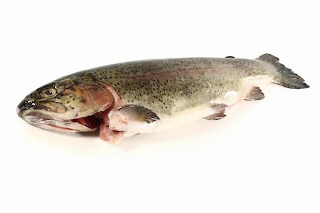 fresh, raw brook trout on a white background Foto de stock - Royalty-Free Super Valor e Assinatura, Número: 400-04914247