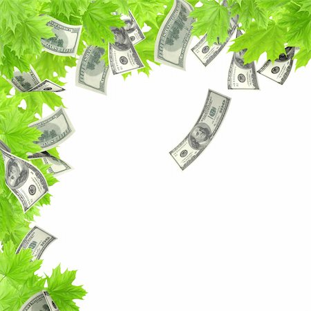 dollar sign with plants - Money tree. Isolated over white Stock Photo - Budget Royalty-Free & Subscription, Code: 400-04914465