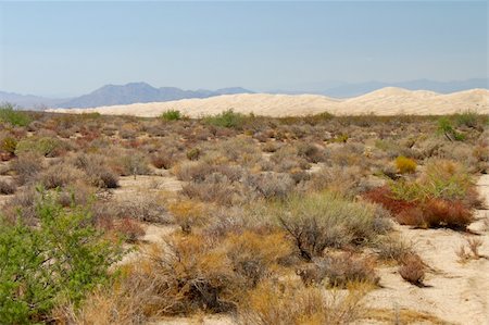 désert de mojave - View of the Kelso Dunes at Mojave National Preserve of California. Photographie de stock - Aubaine LD & Abonnement, Code: 400-04914572