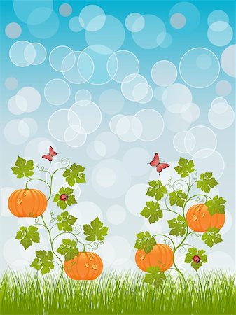 pumpkin leaf pattern - Abstract background with a pumpkin. Vector illustration. Photographie de stock - Aubaine LD & Abonnement, Code: 400-04915872