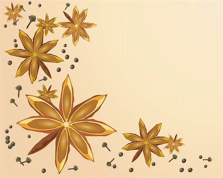 spices vector - an illustration of a star anise design with cloves and peppercorns on a beige color background Stock Photo - Budget Royalty-Free & Subscription, Code: 400-04916843
