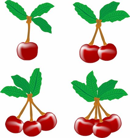 simsearch:400-06177351,k - perfect sweet cherries with the leaf isolated on a white background Stock Photo - Budget Royalty-Free & Subscription, Code: 400-04917060