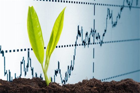 growth or growing economy concept with business chart and young plant Stock Photo - Budget Royalty-Free & Subscription, Code: 400-04917286