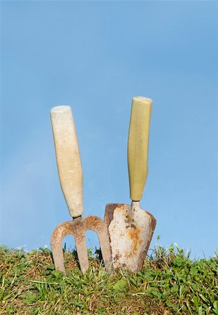 simsearch:400-05303494,k - Small garden tools and gloves on grass with bright blue sky Fotografie stock - Microstock e Abbonamento, Codice: 400-04917945