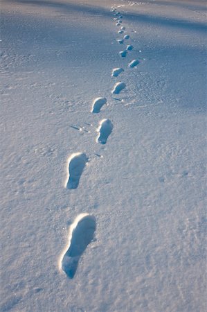 Footprints in a snow covered field Stock Photo - Budget Royalty-Free & Subscription, Code: 400-04917970