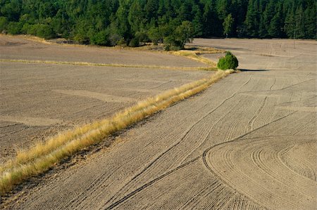 Plowed field seen from a high angle view Stock Photo - Budget Royalty-Free & Subscription, Code: 400-04918602