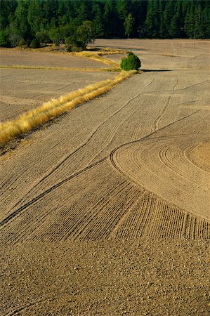 Plowed field seen from a high angle view Stock Photo - Budget Royalty-Free & Subscription, Code: 400-04918603