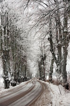 simsearch:400-05063238,k - Road after early snowfall in autumn Stock Photo - Budget Royalty-Free & Subscription, Code: 400-04918659