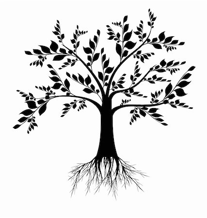 Beautiful art tree silhouette isolated on white background Stock Photo - Budget Royalty-Free & Subscription, Code: 400-04919077