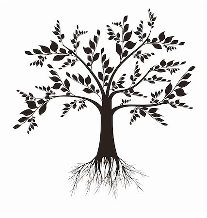 Beautiful art tree silhouette isolated on white background Stock Photo - Budget Royalty-Free & Subscription, Code: 400-04919079